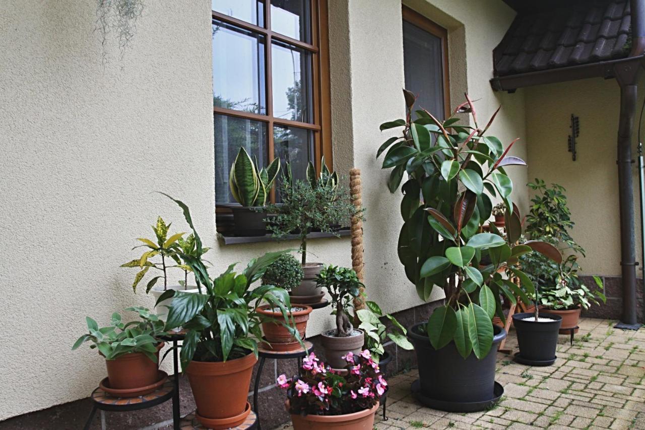 Ubytovani Zdarske Vrchy Svetnov Exterior photo